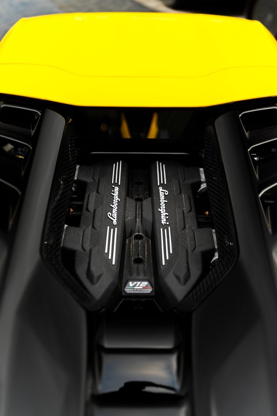 Lamborghini Revuelto V12 engine
